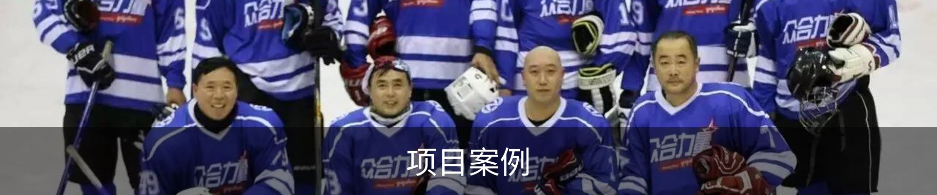 项目案例